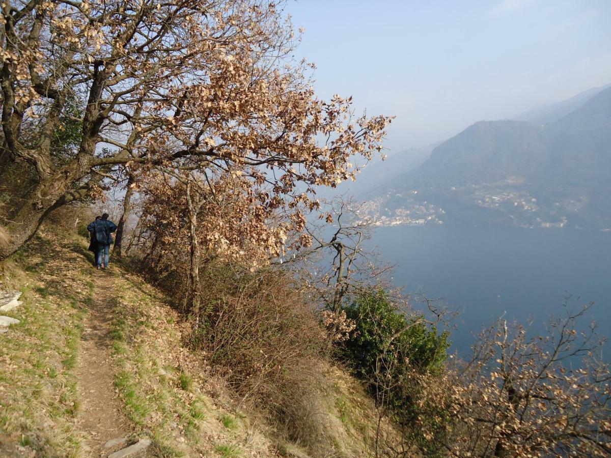 La Ca In Piaza Villa Cernobbio Eksteriør bilde